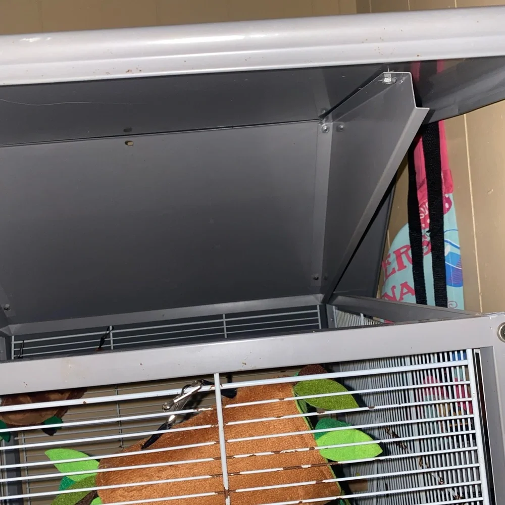 Bird “House”